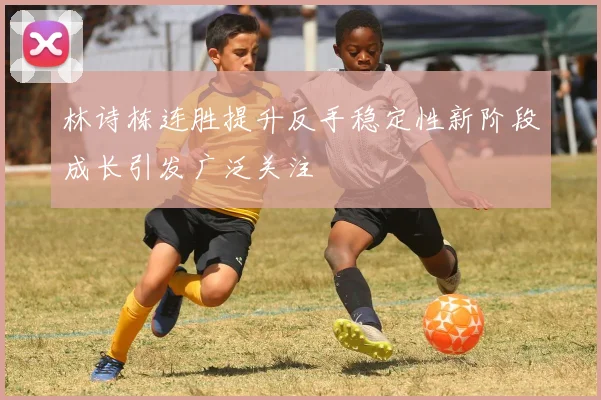 林诗栋连胜提升反手稳定性新阶段成长引发广泛关注