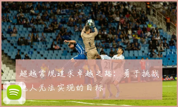 超越常规追求卓越之路：勇于挑战他人无法实现的目标