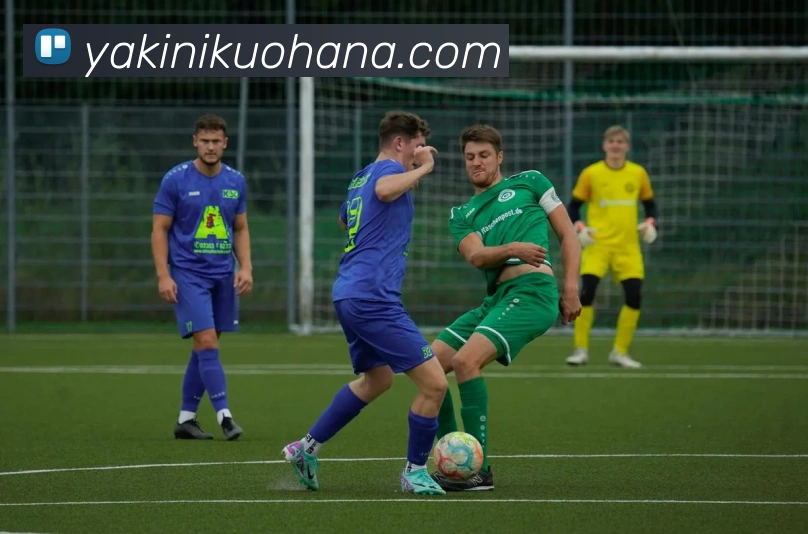 8868体育首页登录服务体系